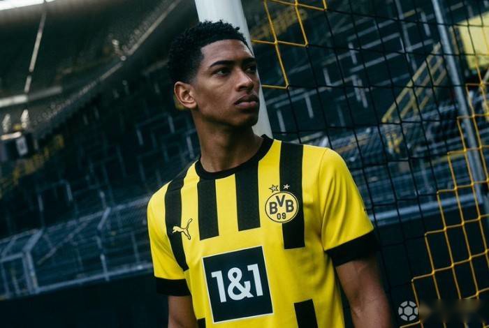 这粒球真是绝了